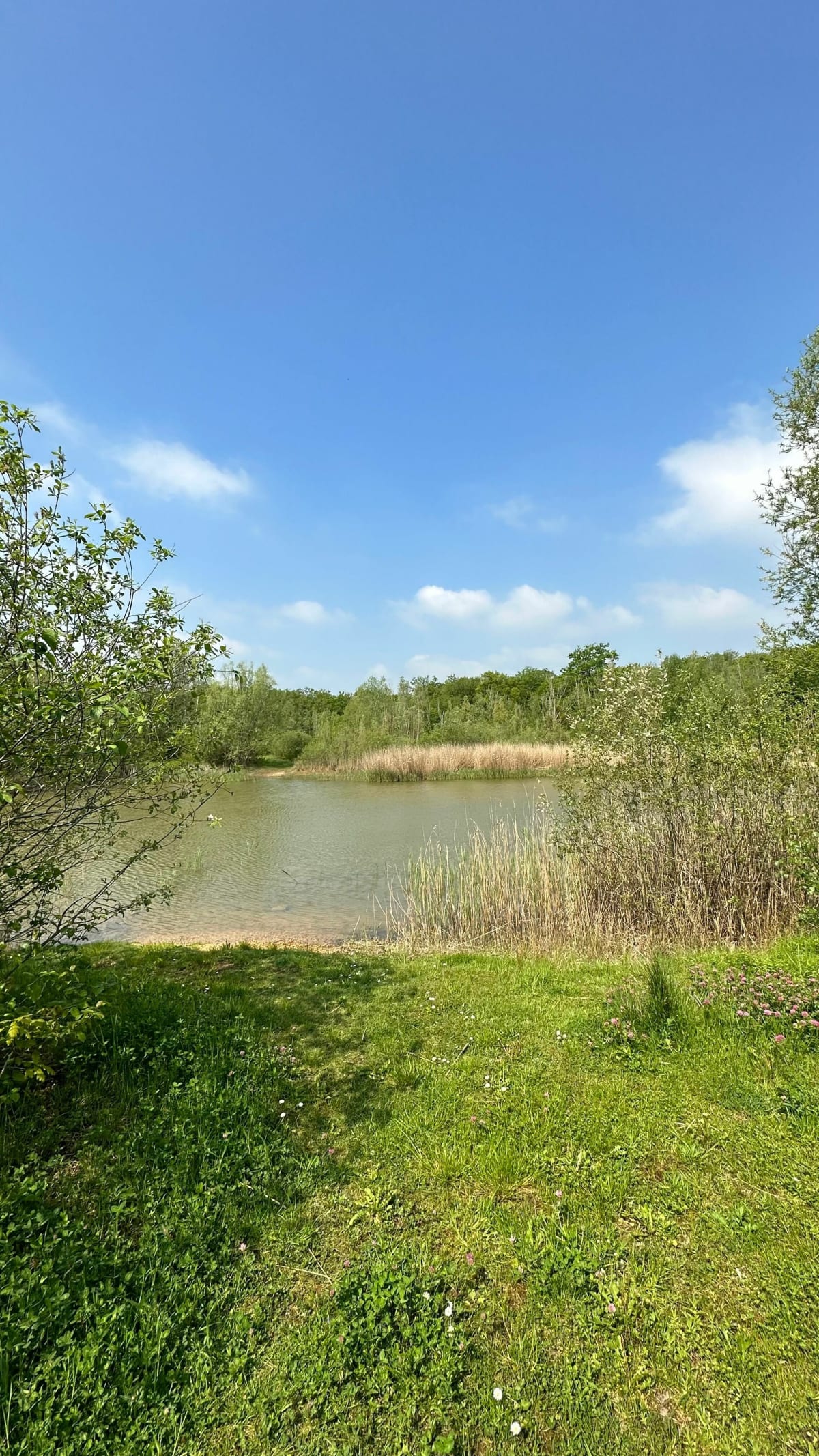 La Mare du Loup - La Croix-Saint-Ouen