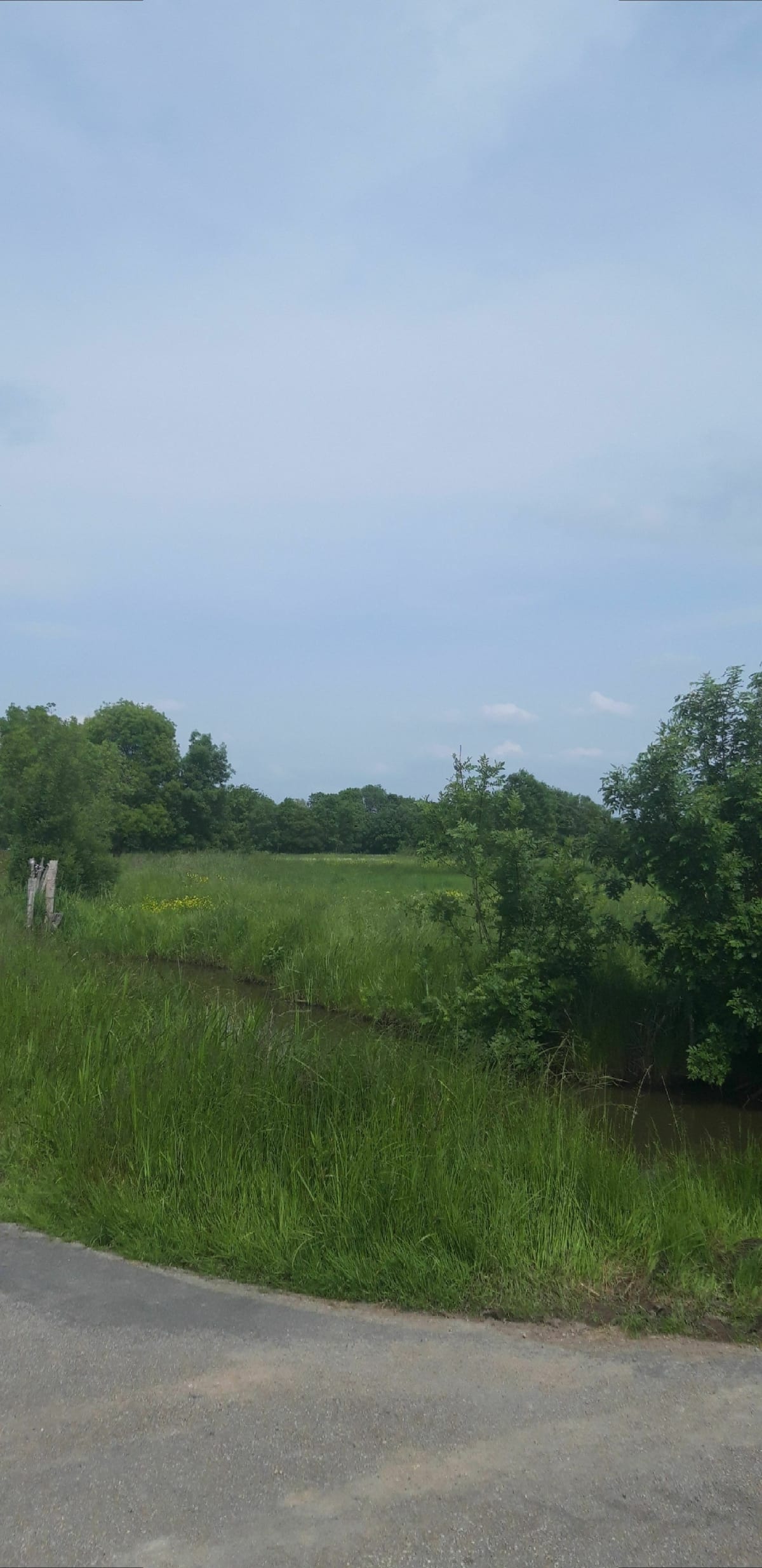 Marais Couëron par St-Étienne de Montluc à Vélo - Couëron
