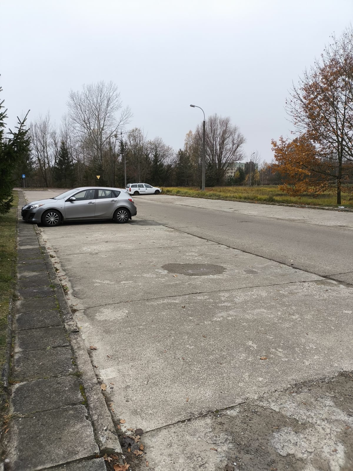 Krótki spacer po obrzeżach Puszczy - Hajnówka