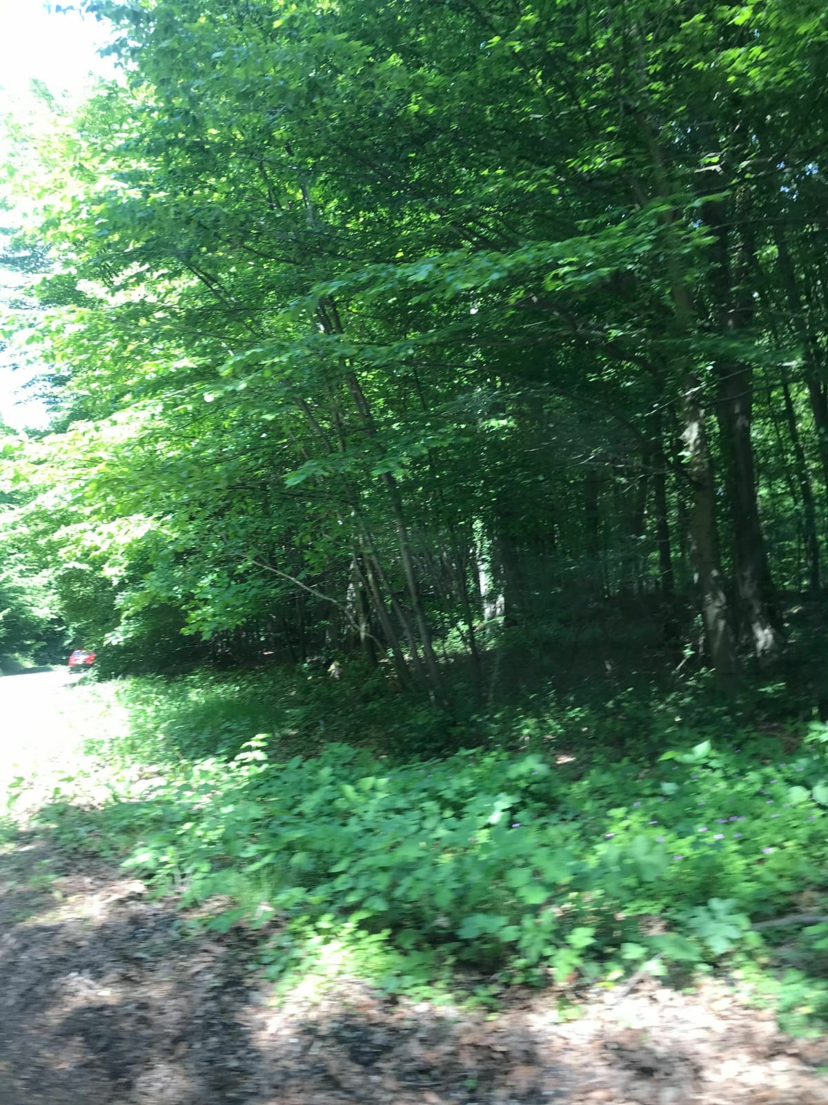 Sortie vélo au Bois Guillaume - Kaitlin