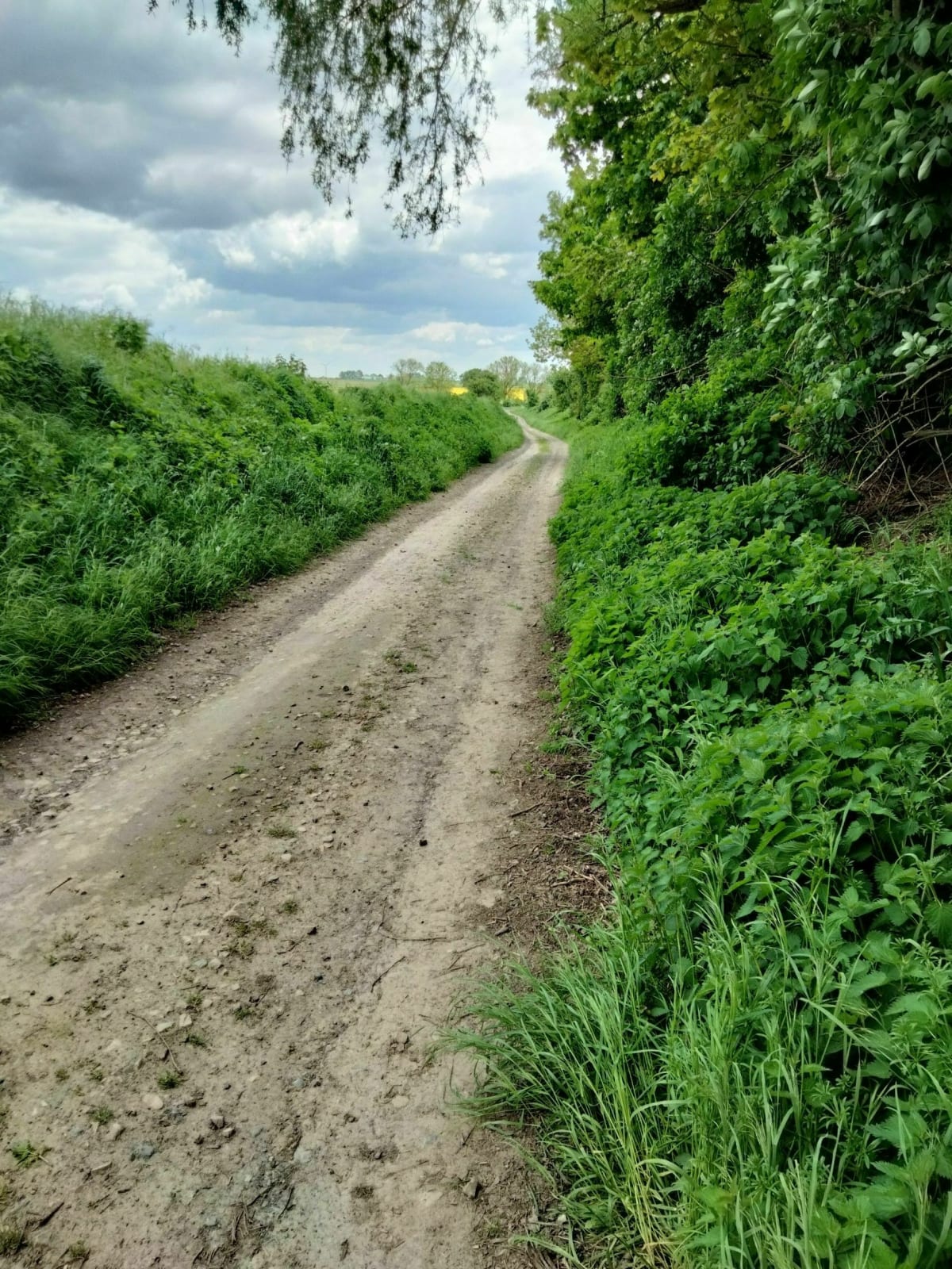 Sortie Gravel 30 km à Valenciennes - Aulnoy-Lez-Valenciennes