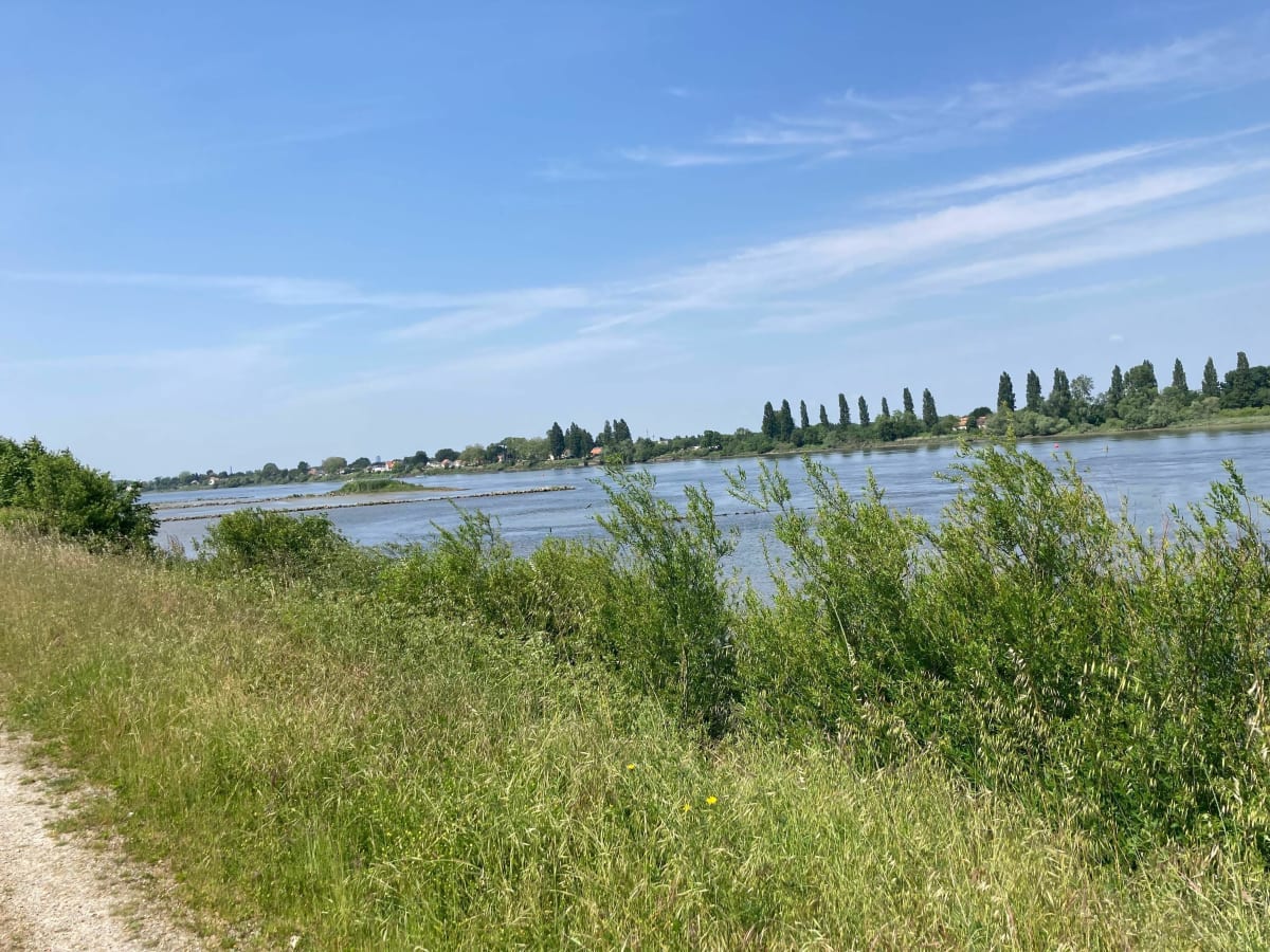 Entre Loire et Sèvre - Sainte-Luce-sur-Loire