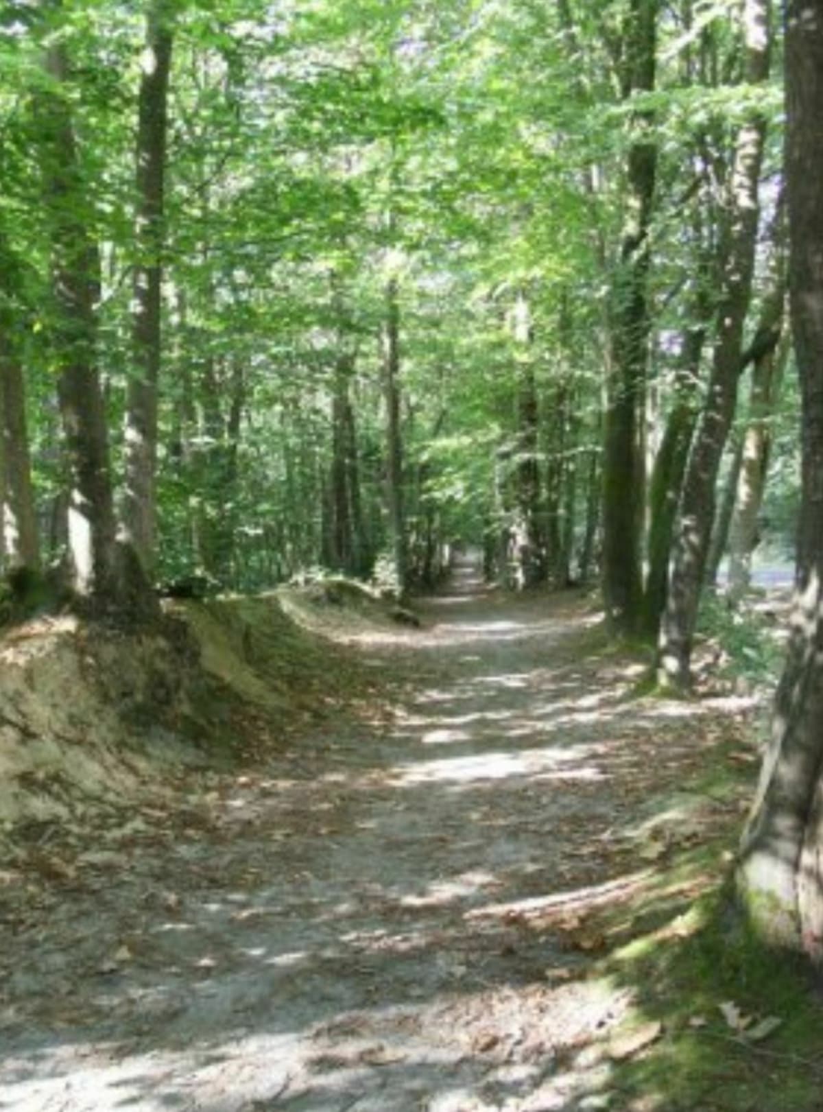 Agréable sortie de Ploufragan à Quessoy retour par Yffiniac - Saint-Brieuc