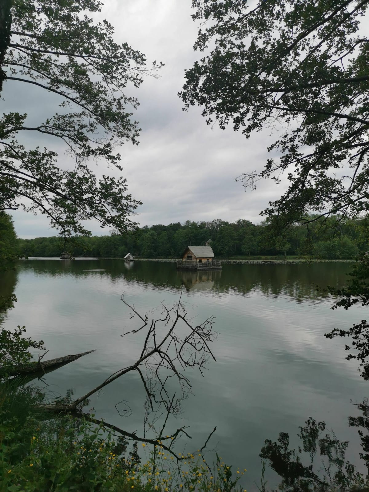 Tour de vélo au Domaine des Dombes - Saint-Paul-de-Varax