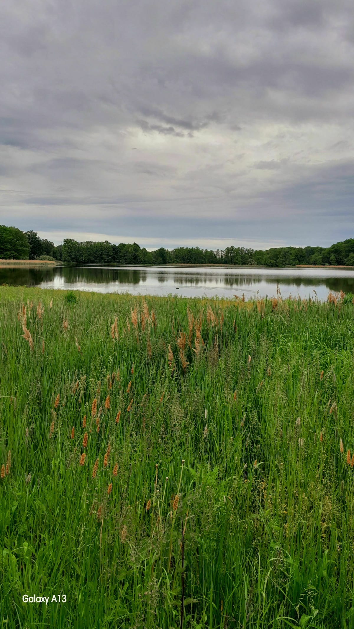 Etang des Léchères et Saint-Paul-de-Varax - Saint-Paul-de-Varax
