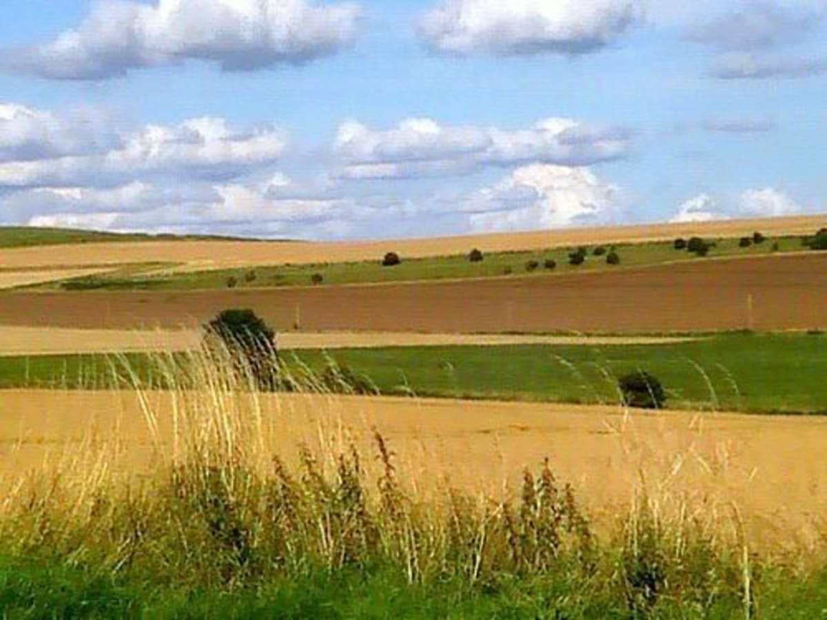 Entre Bissieres et Magny-le-freule - Méry-Bissières-en-Auge