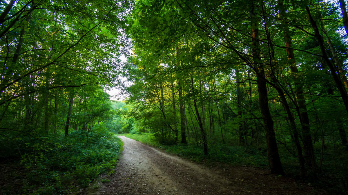 VTT, La Vronnaise a VRON par le Bois de La Chelle - Vron