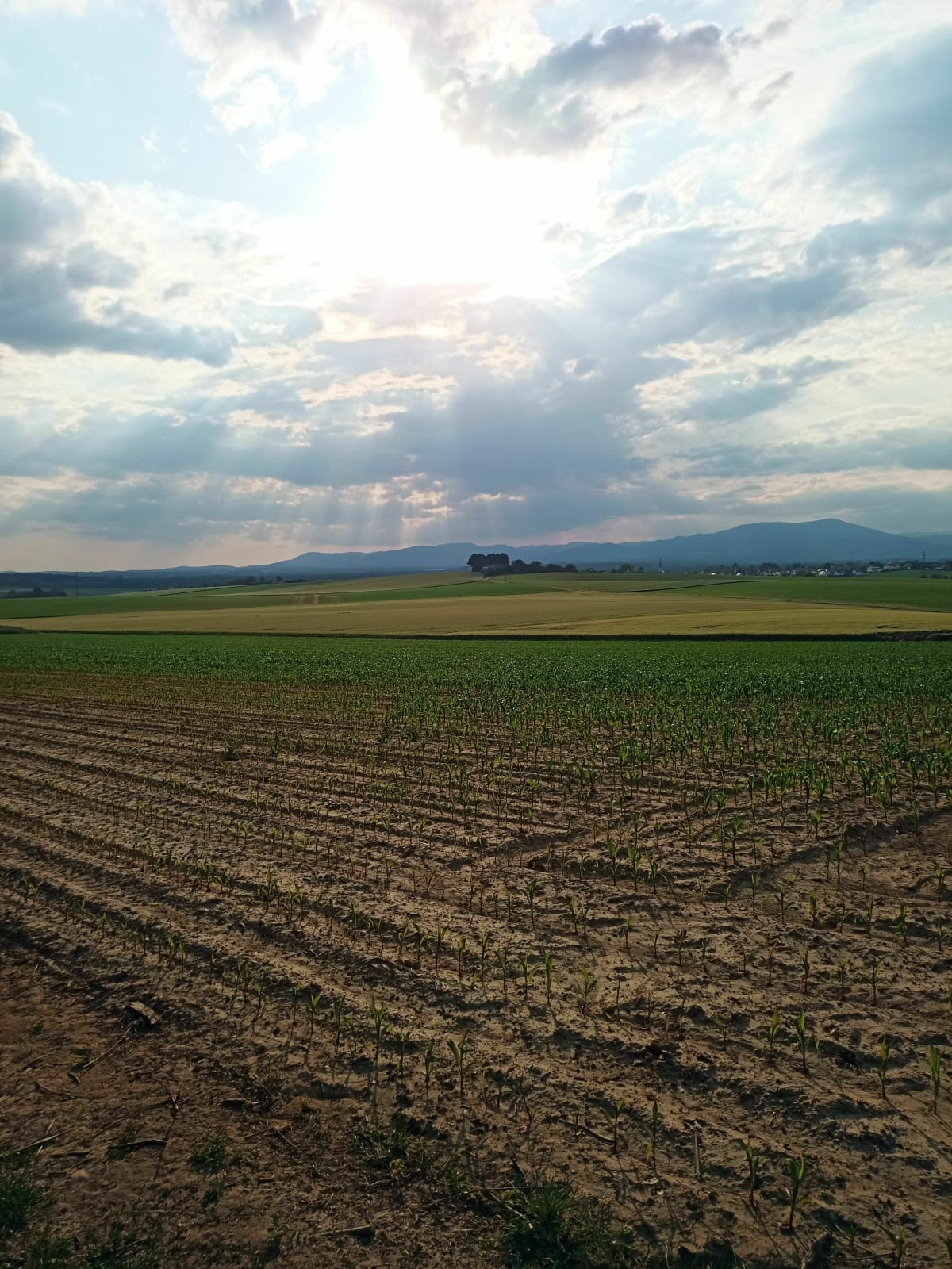 Sortie Heimsbrunn - Heimsbrunn
