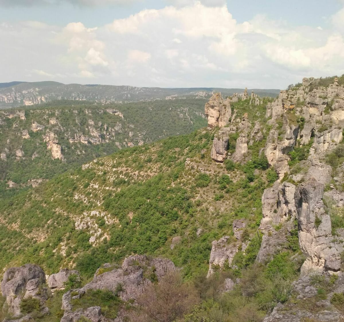 Belle balade des corniches du Rajol - La Roque-Sainte-Marguerite