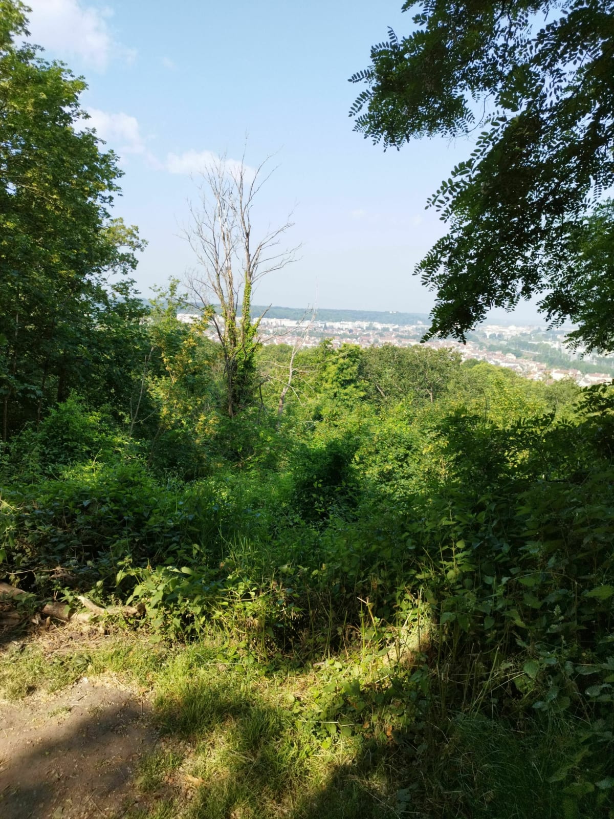 Balade entre Vélizy. Meudon et Clamart - Clamart