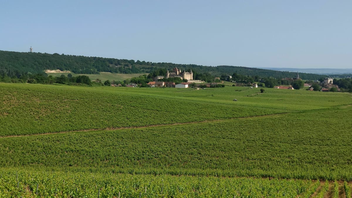 Entre Rully Aluze et Mercurey Départ de la forêt de Farges - Farges-lès-Chalon