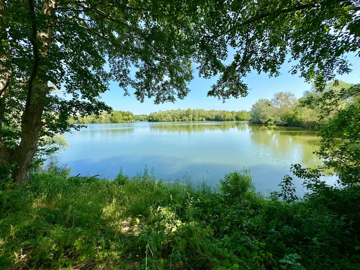 Balade entre forêt et bords de Seine depuis Rosny sur Seine - Max