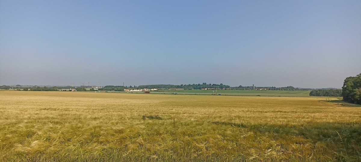 Balade dans la forêt de Ferrières - Presles-en-Brie