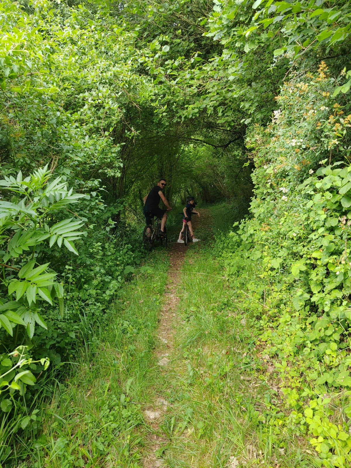 Balade du soir  à Chenommet avec les enfants. - Aunac-sur-Charente
