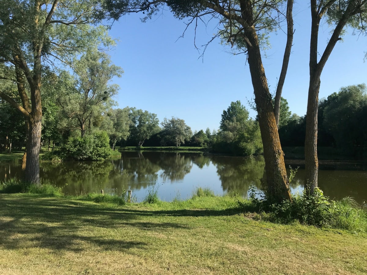 Petite balade matinale à Breilly - Breilly