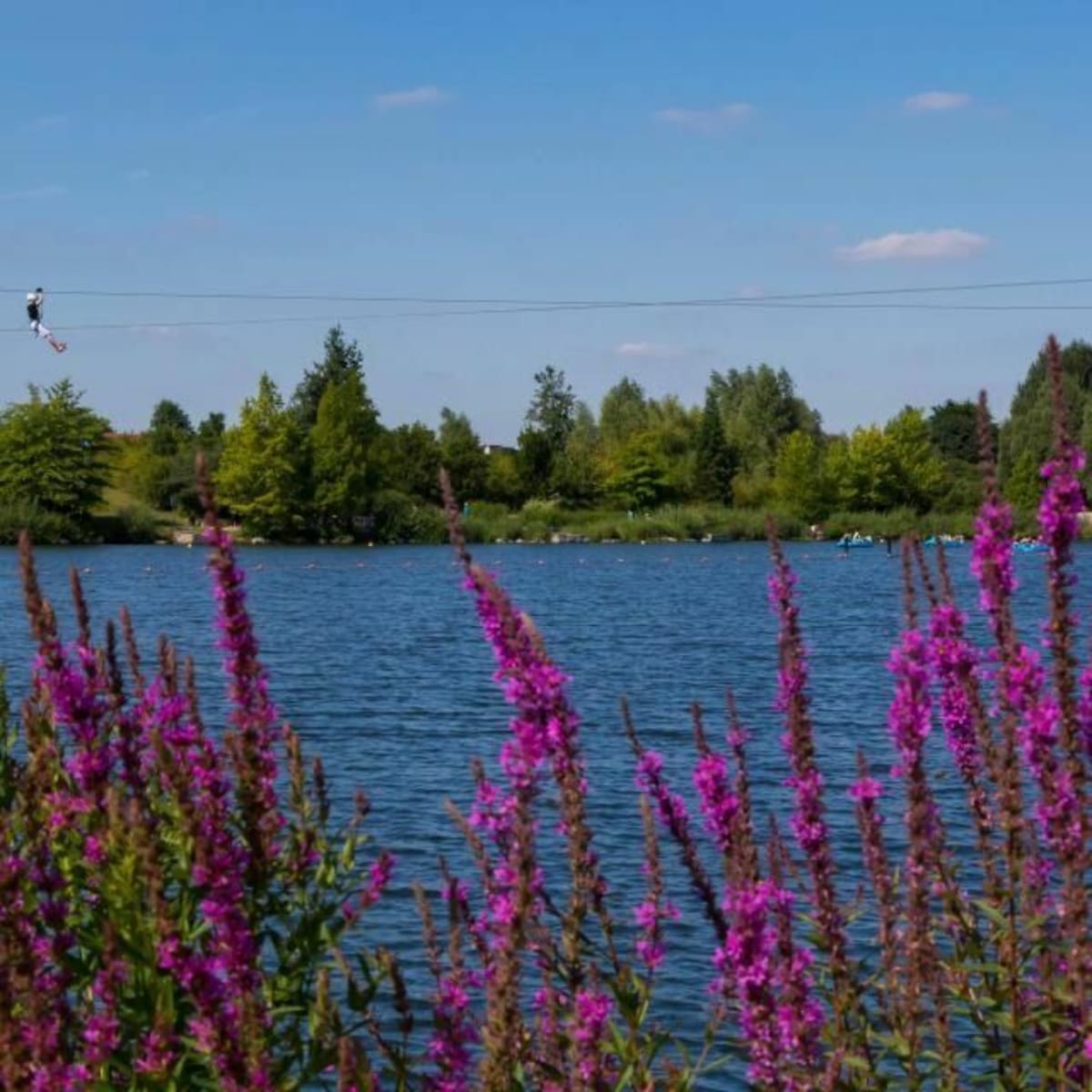 Petite sortie au Parc Vernier depuis Gayant Expo - Douai