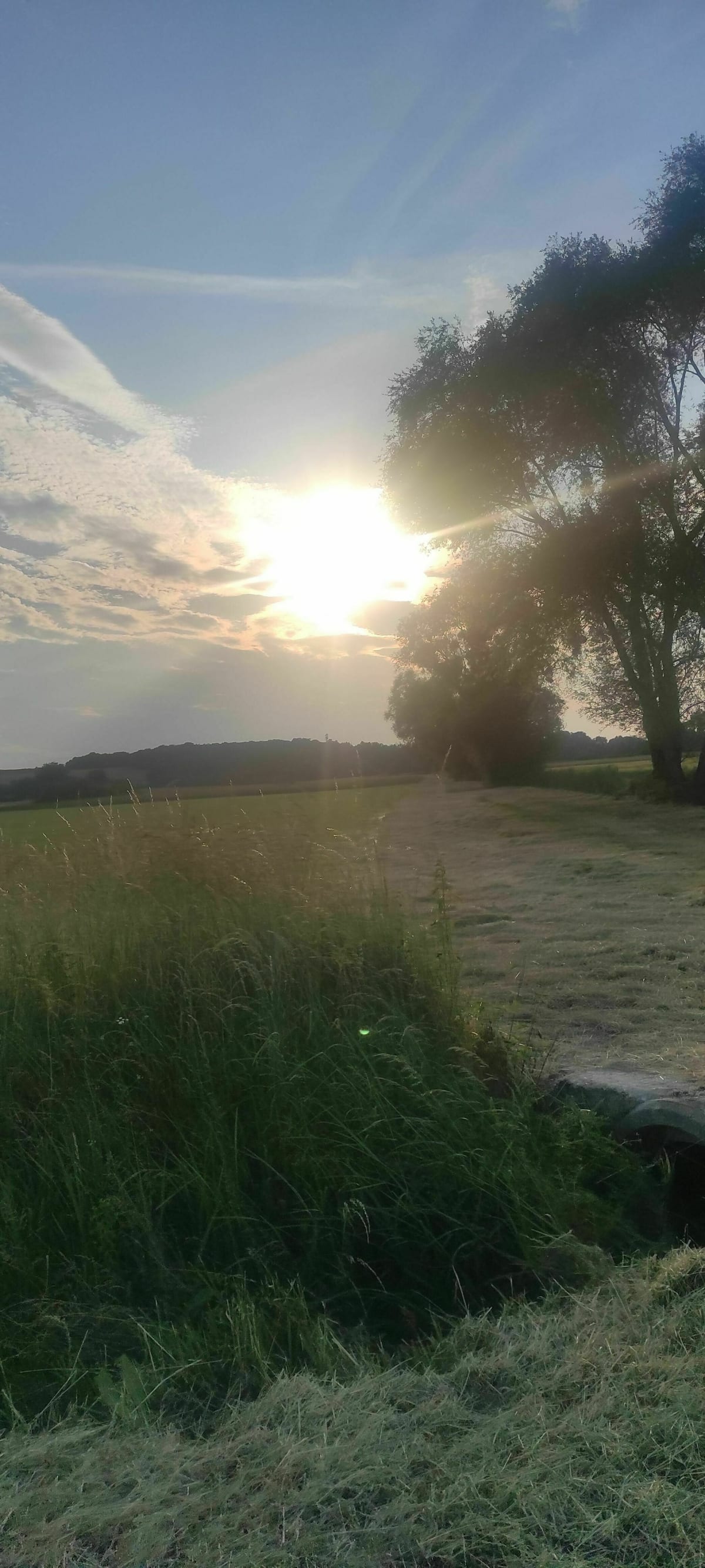 Belle randonnée à Saint Hilaire de Court - Saint-Hilaire-de-Court