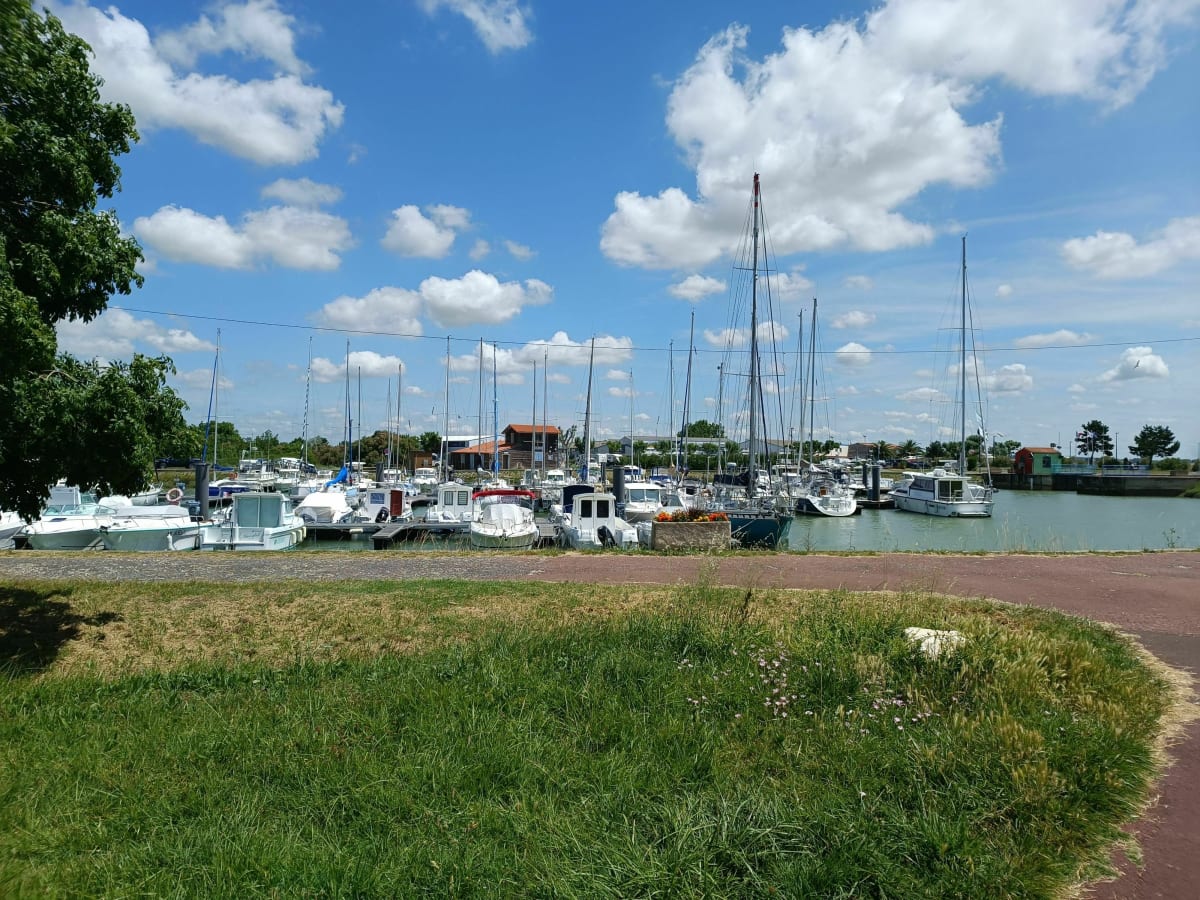 Balade sur le port et la corniche de Meschers-sur-Gironde - Meschers-sur-Gironde