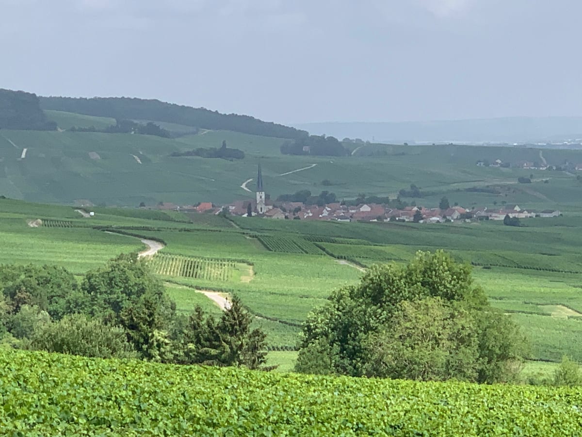 Balade montagne de Reims - Chamery