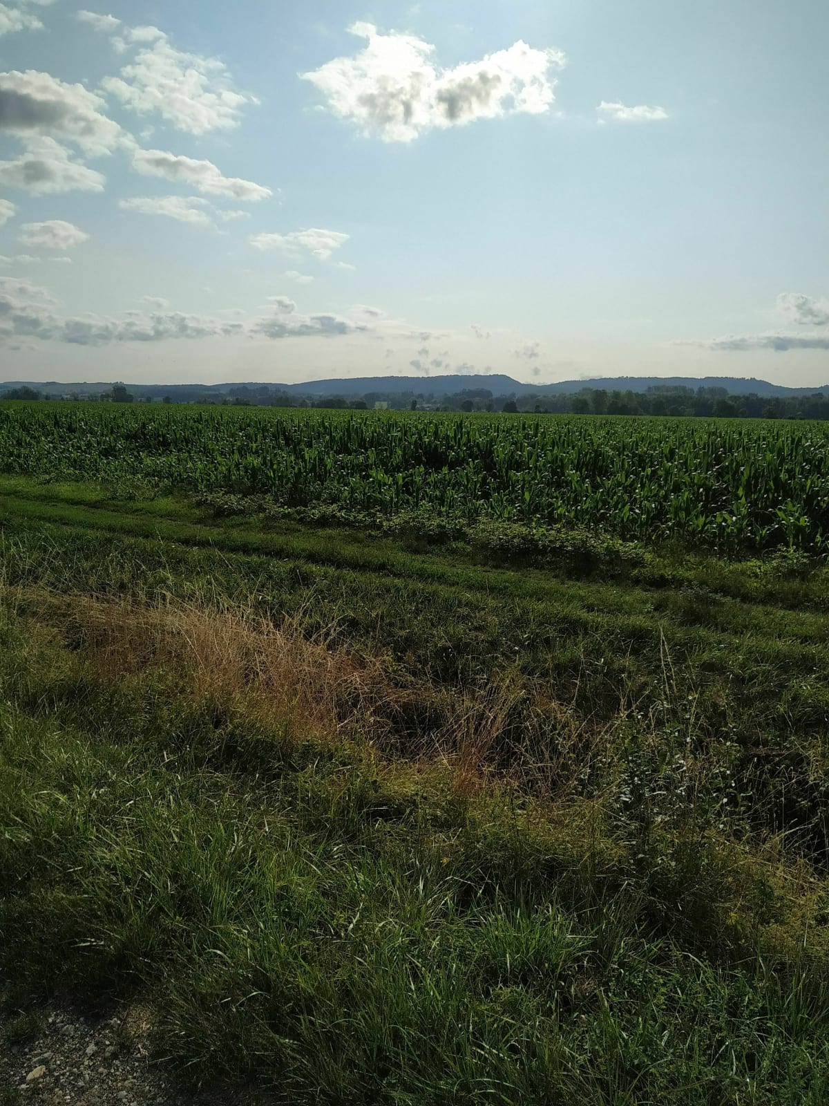Les vignobles et Bresse Jurassienne - Frébuans