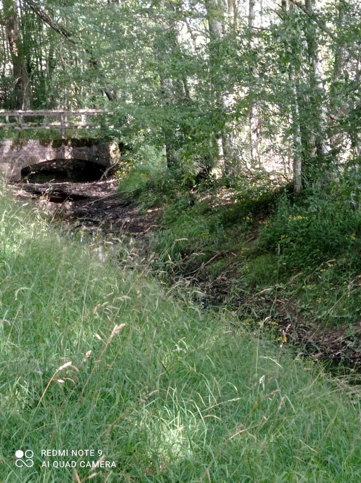 Balade autour de Batilly-en-Puisaye par les Terres Fortes - Batilly-en-Puisaye