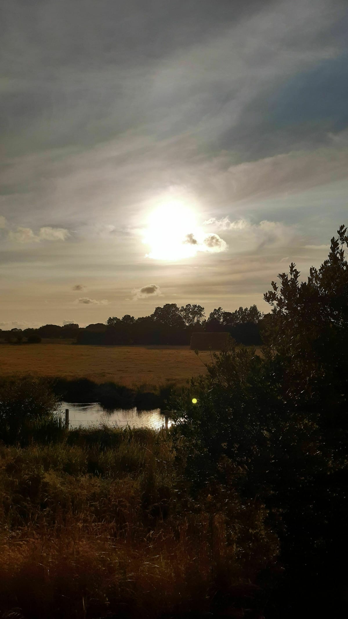 Découverte du marais de Soullans - Challans