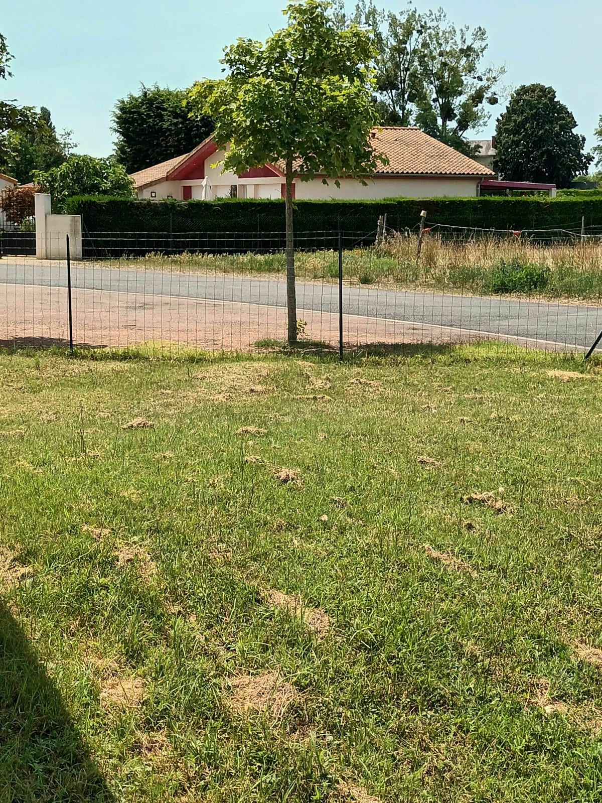 Balade découverte de la Taille des Lys et du château d'Abin - Muriel