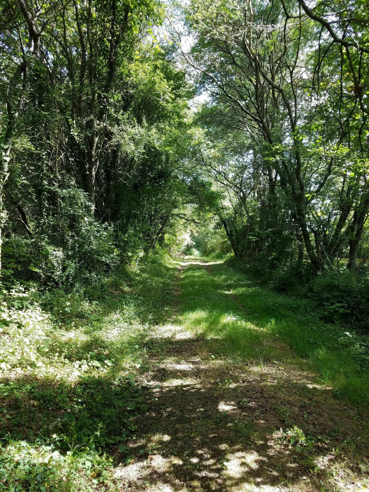 Balade autour de Heugnes - Heugnes