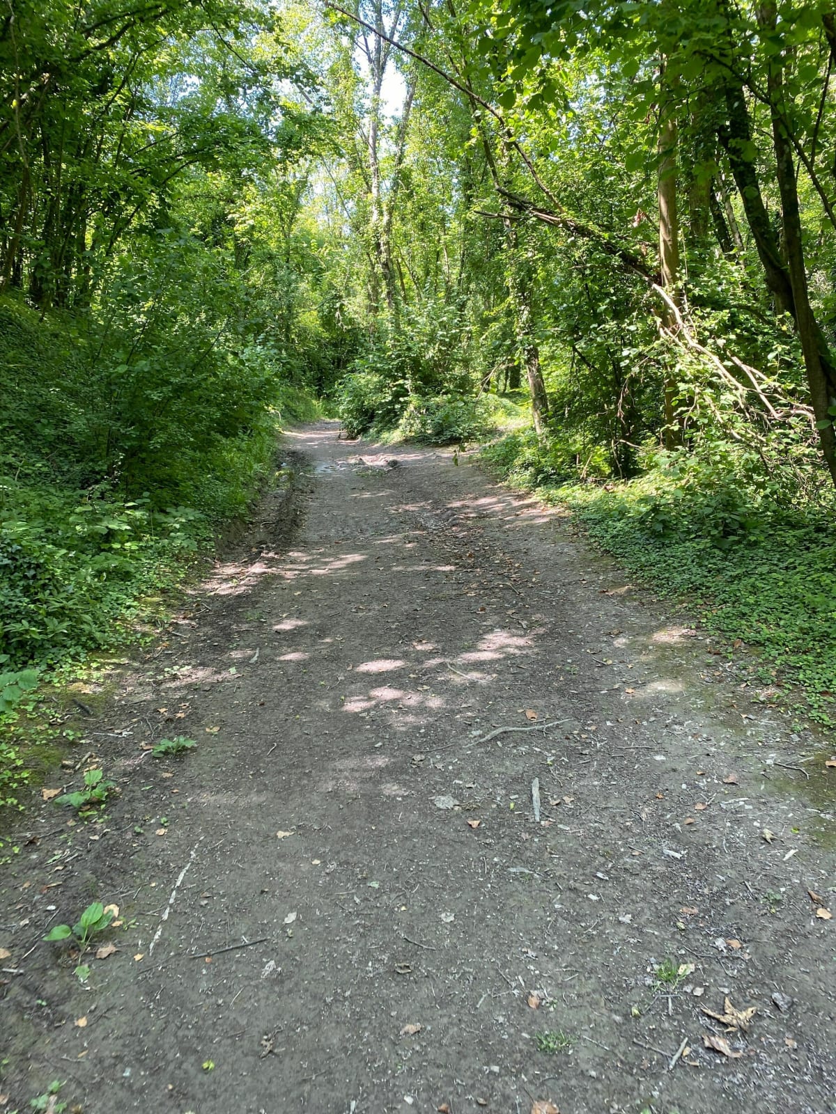 Mont Pelé et mont Hulin à Desvres - Desvres