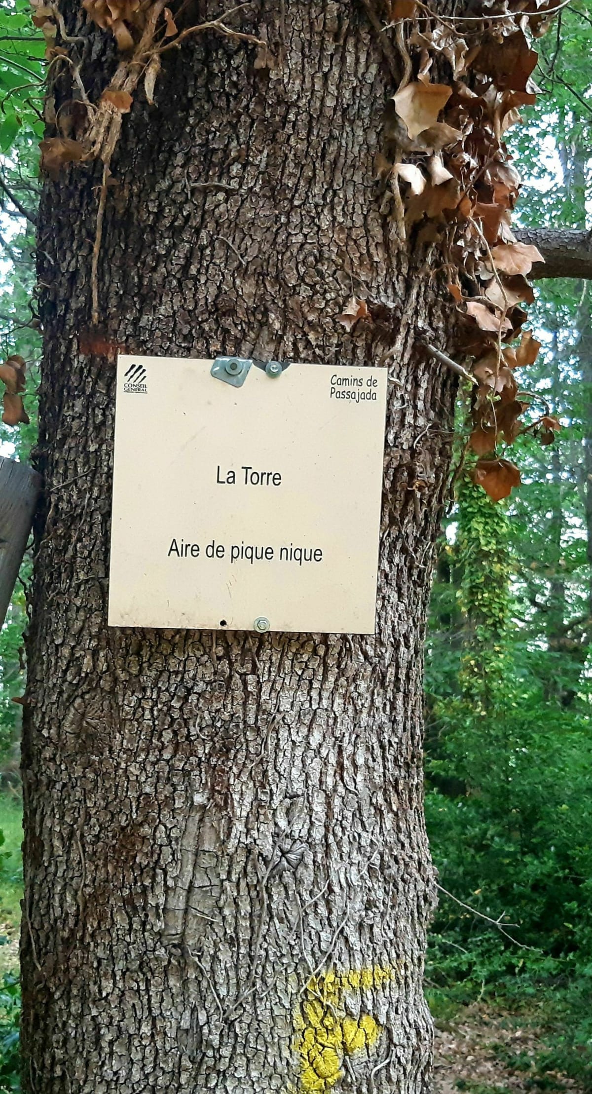La Tour de Fontanils par Falgas - Olivier nounours