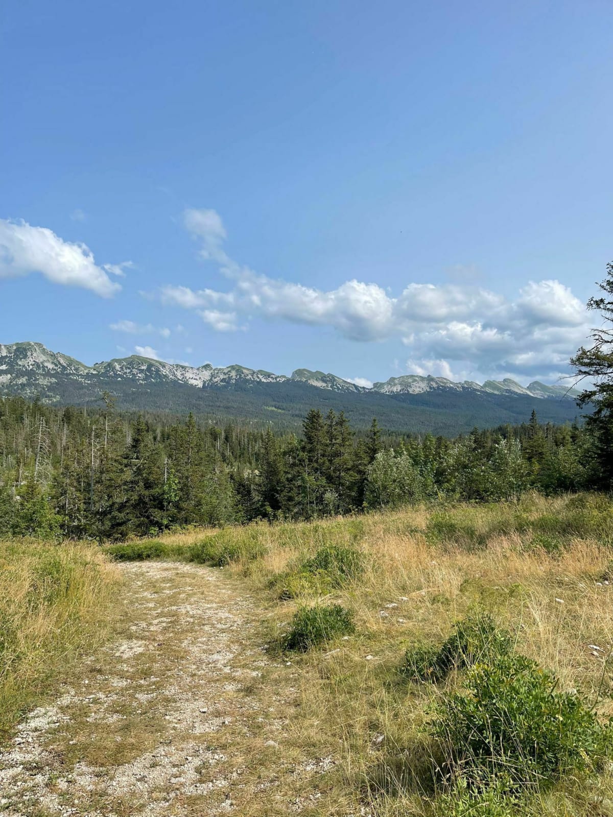 Balade sur les hauts plateaux du Vercors - LAURENT