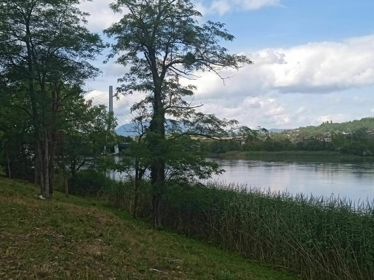 De Seyssel à Serrières en Chautagne par les bords Rhône - Seyssel
