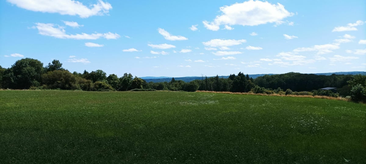 Balade Champêtre entre coteaux et vallée de la Vienne ! - Saint-Victurnien
