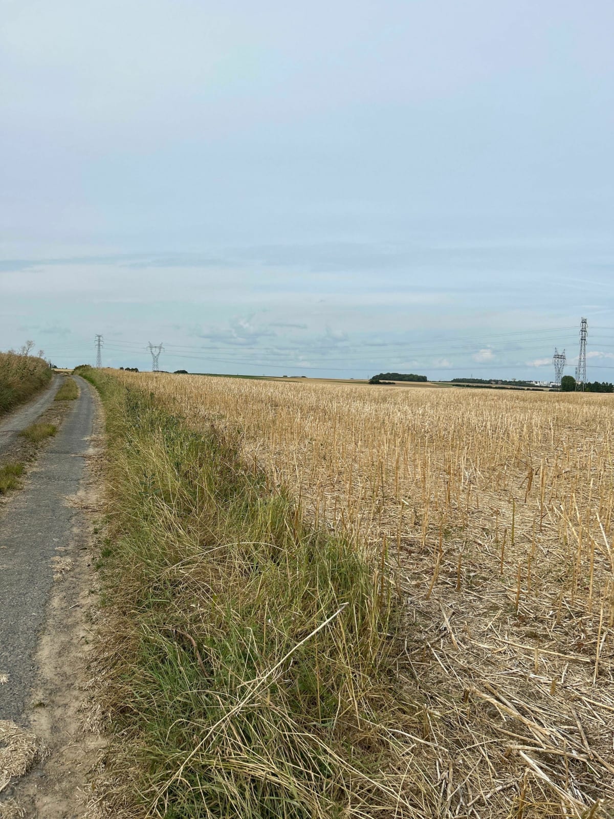 Balade du soir entre Arleux et Acheville - Arleux-en-Gohelle