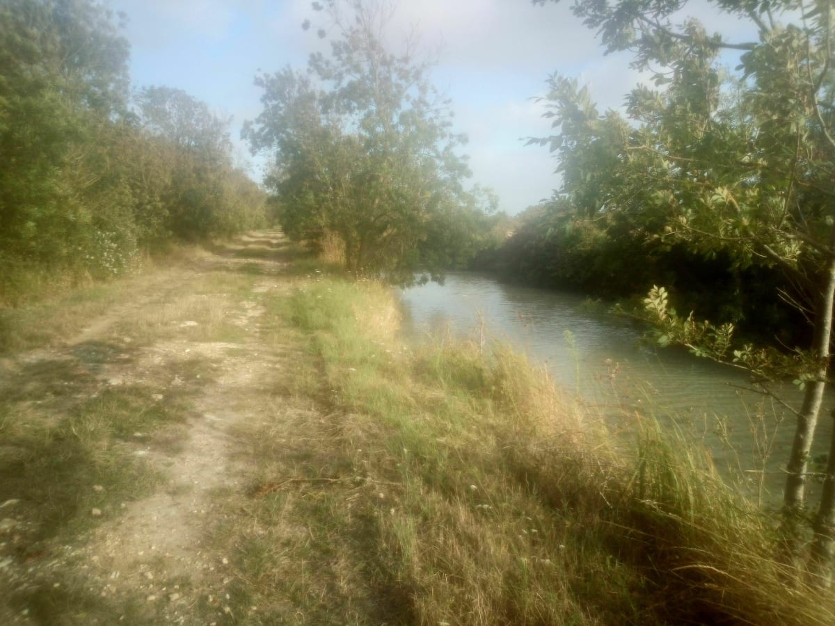 Belle randonnée à travers le Canal du Milieu depuis La Corba - La Tranche-sur-Mer