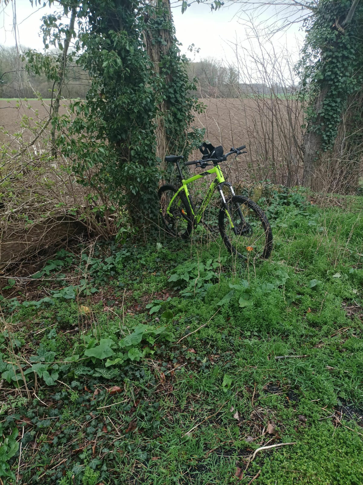Sortie à La Motte-au-Bois - Vieux-Berquin