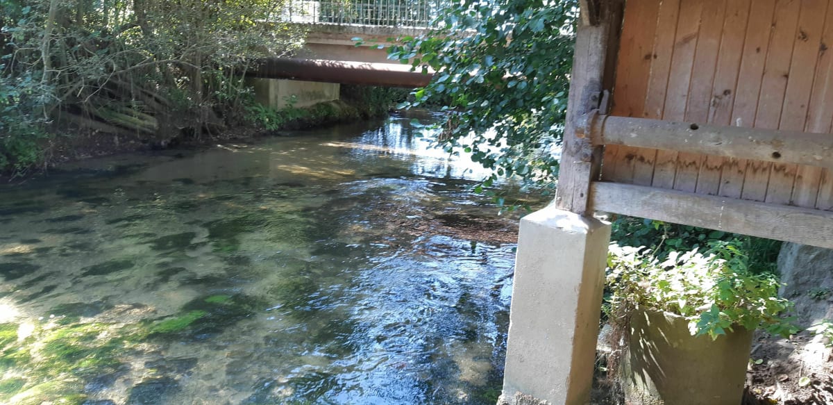 Autour de Canon à Vélo - Mézidon Vallée d'Auge