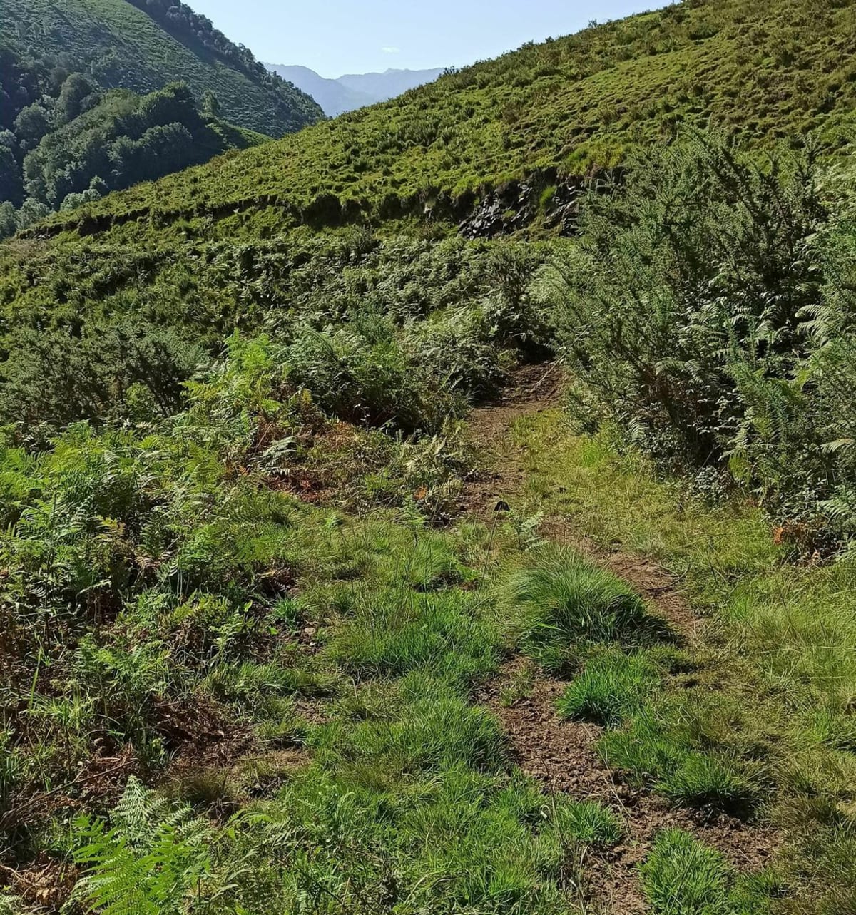 Joli tour au départ d'Agnos et sur les hauteurs d'Oloron - Agnos