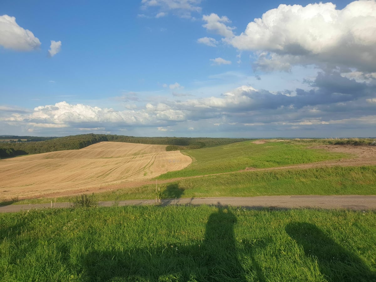 Entre champs et forêt à Saint Avold - Macheren