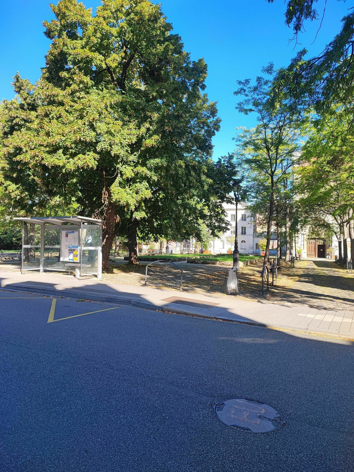 Balade en forêt de Saint-Michel par Côte Blanche - Évreux