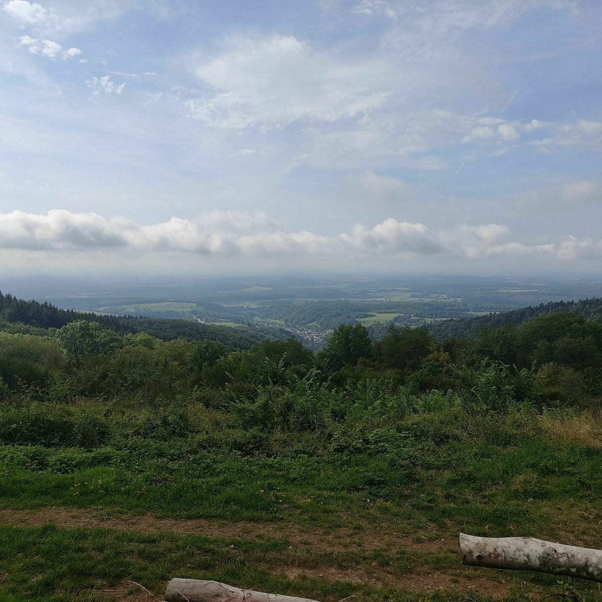 VTTAE autour de Michelbach - Masevaux-Niederbruck
