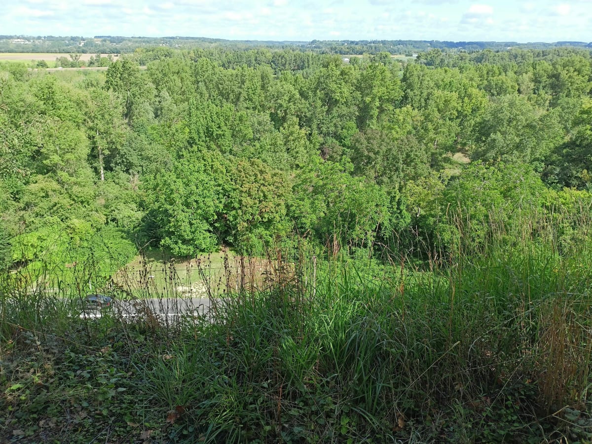 Rando autour de Montlouis-sur-Loire - Montlouis-sur-Loire