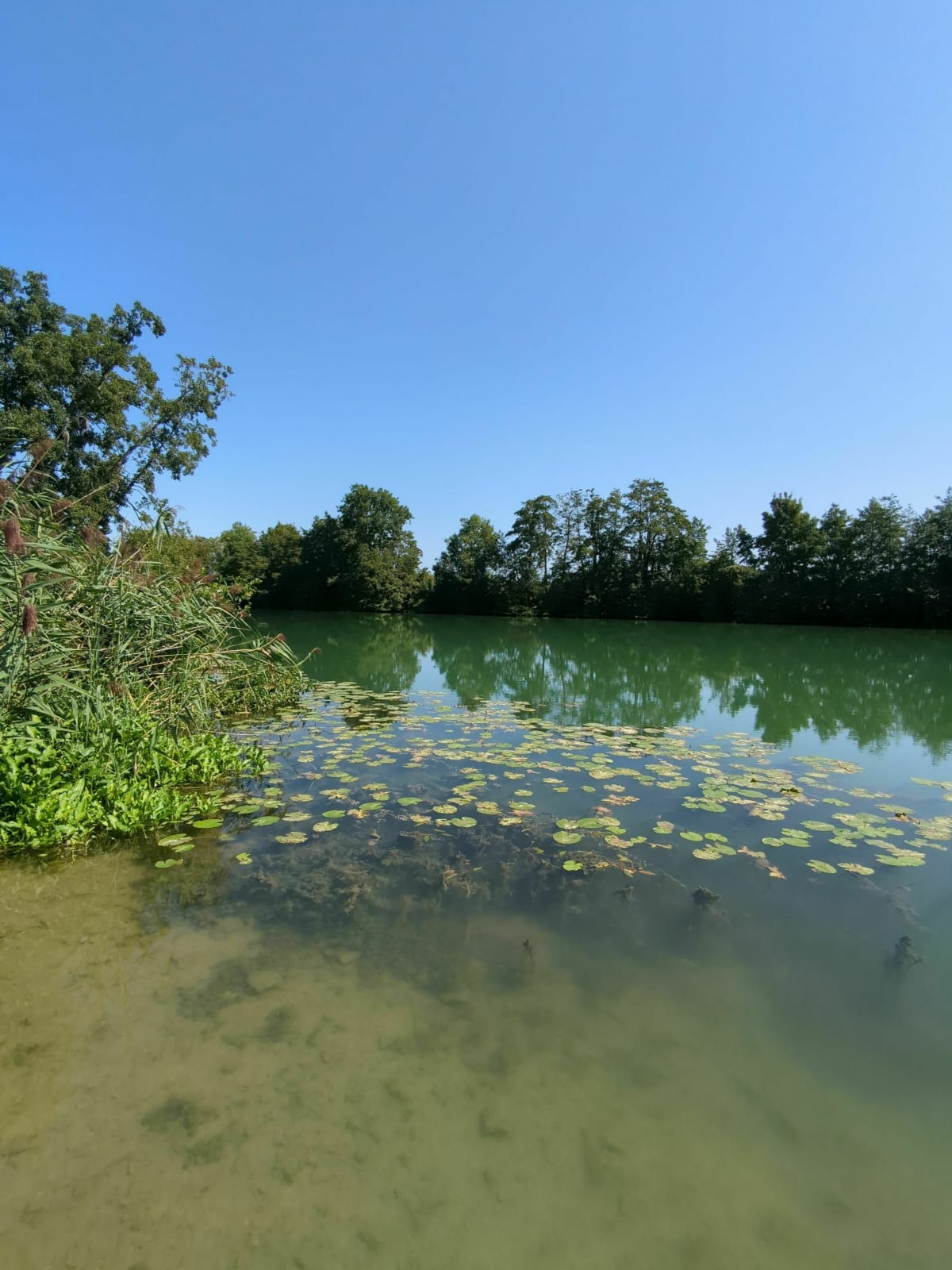 Sortie VTT le long de la Marne - La Ferté-sous-Jouarre