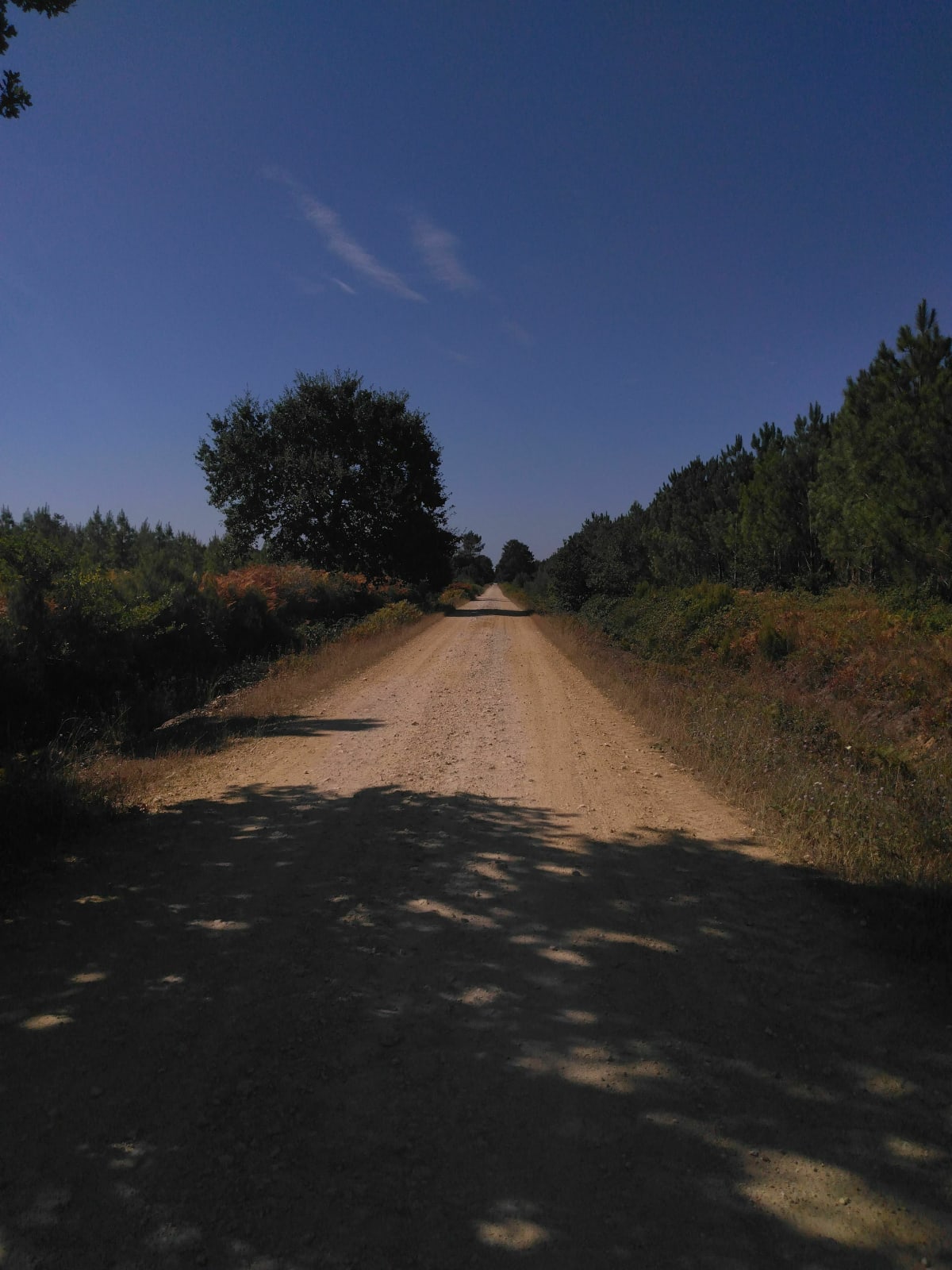 Première sortie en Gravel autour de Le Sen - Le Sen