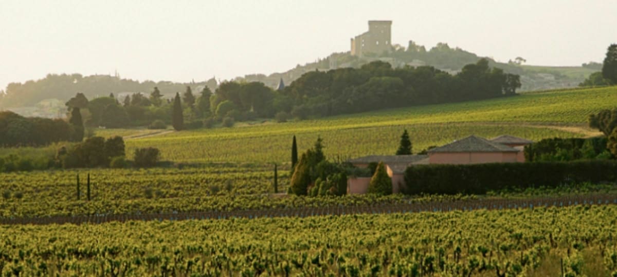 Petite remise en jambe autour de Châteauneuf-du-Pape - Sorgues