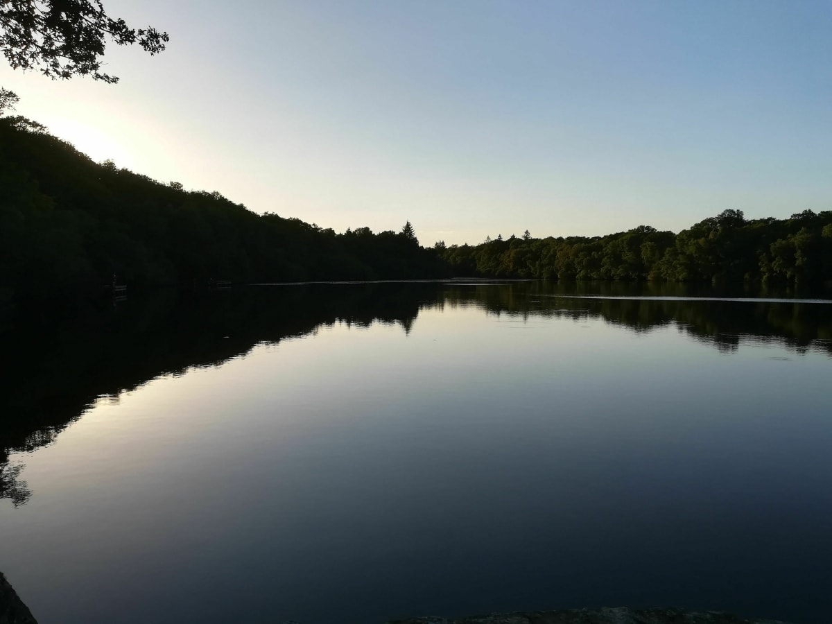 Forêt et Étang de la Corbière par Chevigner - Marina