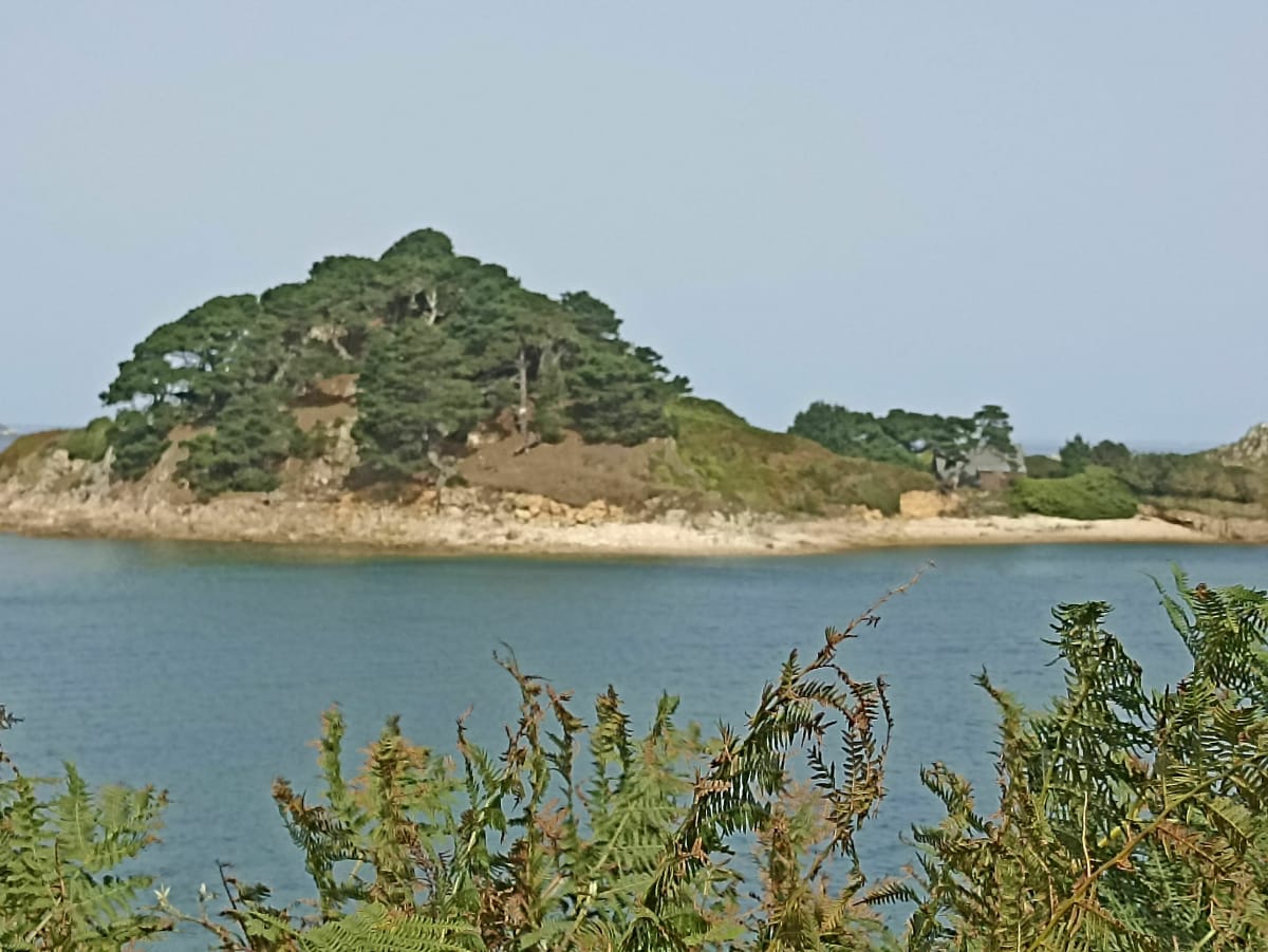 Du Port le Diben à Morlaix par le sentier côtier GR 34 - ED17