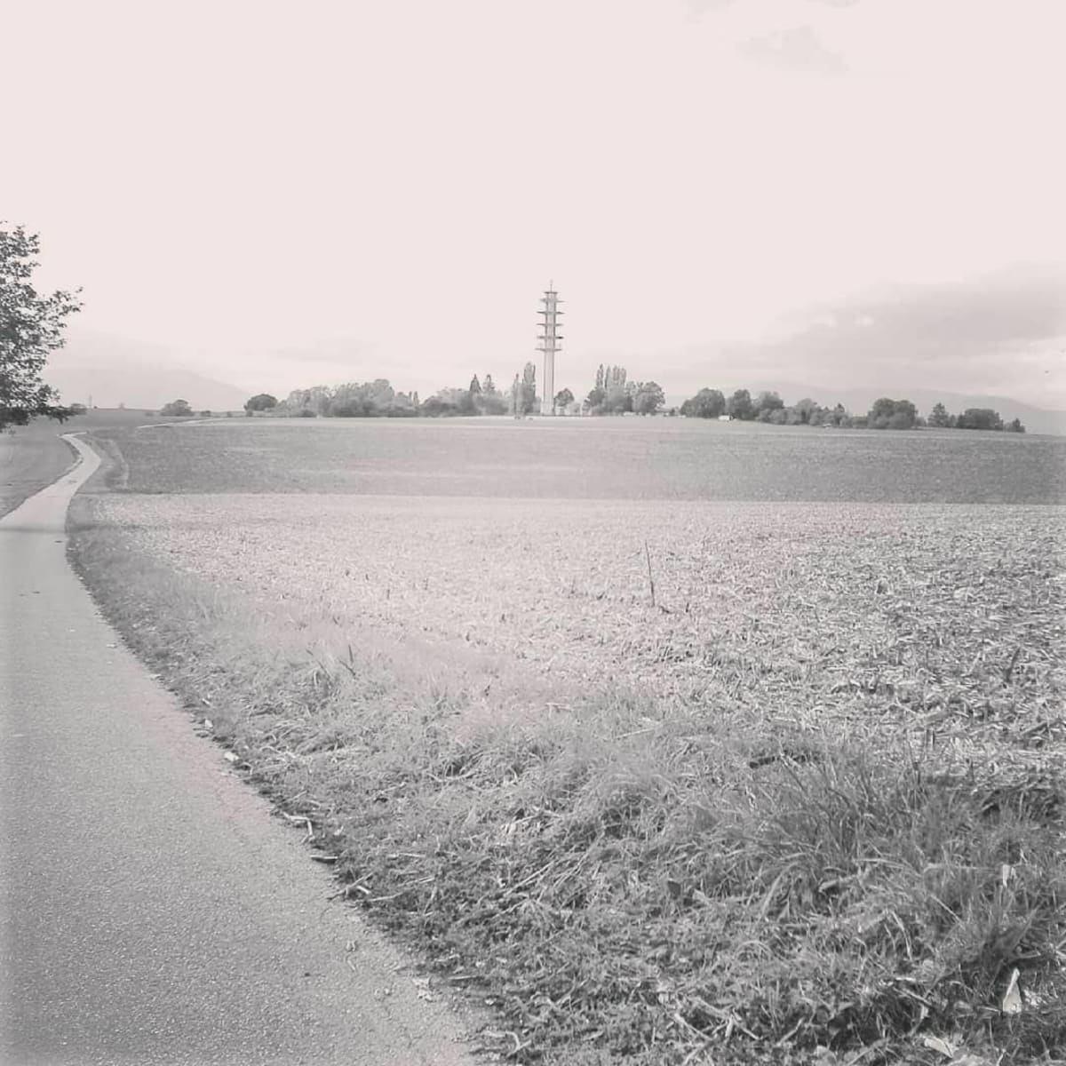 Riedisheim - Morschwiller - Bruebach - Rixheim