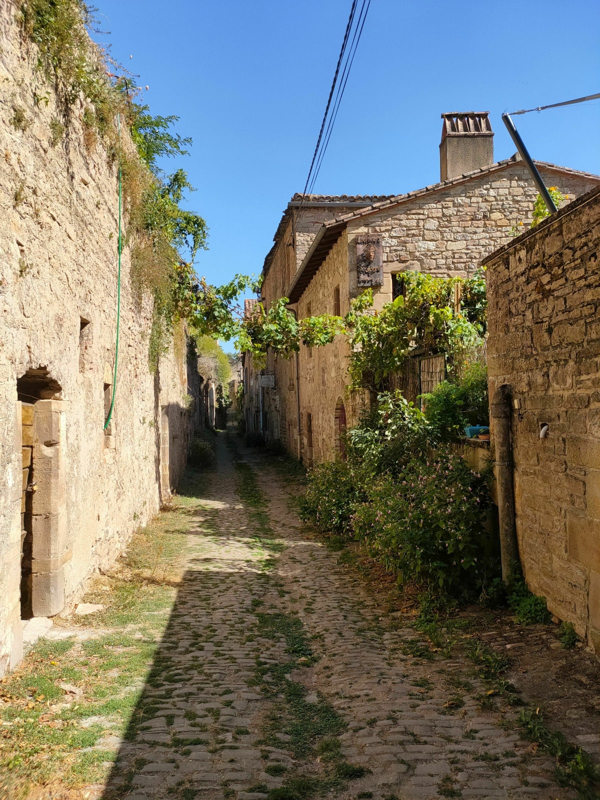Randonnée autour et dans Cordes-sur-Ciel - Cordes-sur-Ciel