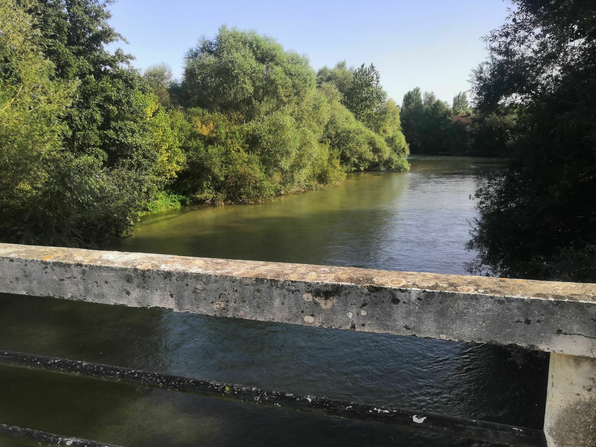 Fraîcheur entre Seine et canal - Payns